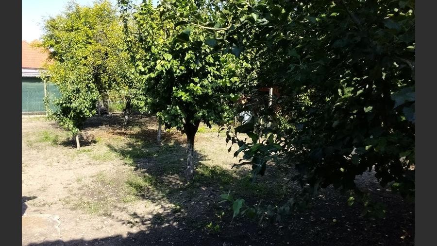 Casă de v&acirc;nzare zona Turda Noua, comision 0% !!! - 40