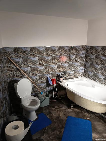 Casa de vanzare in Alexandria smardioasa - 2