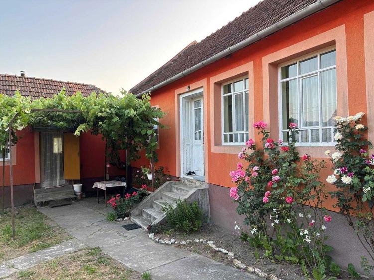 Casa de vanzare, judetul Arad - 7