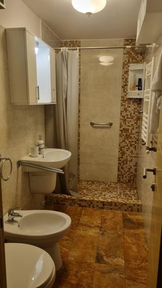 Apartament 2 camere de vanzare parc Sebastian, direct proprietar - 9