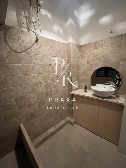 Apartament de vanzare 3 camere 115 mp cu potential comercial, pe strada Horea! - 10