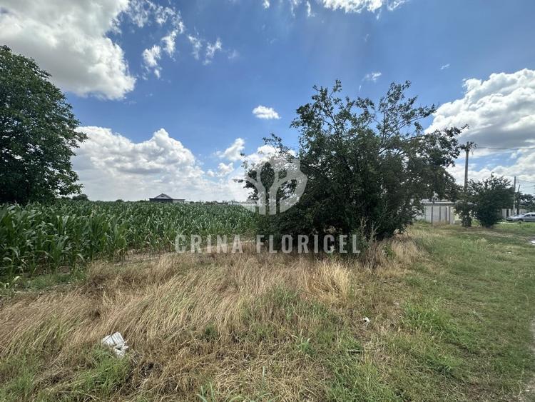 Vanzare teren intravilan 2965 mp - deschidere 26 m - str Gloriei - 1 Decembrie - 3