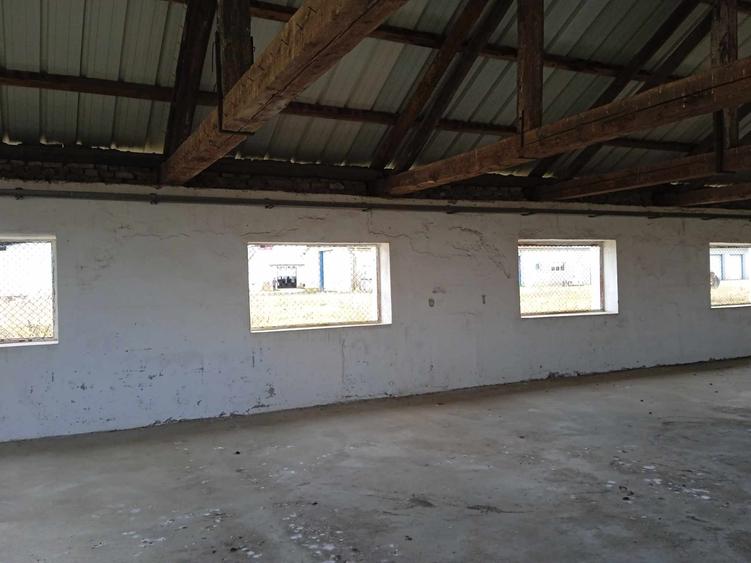 Spatiu depozitare sau uscare - 6