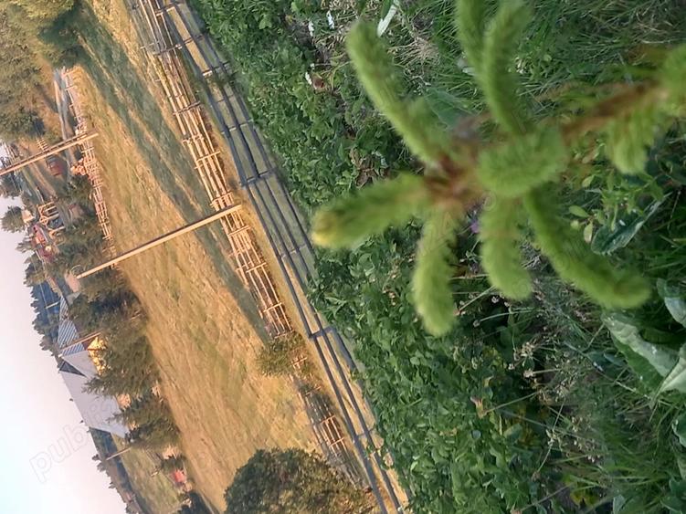 Casa si teren de vanzare - 4