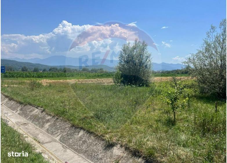 Teren pentru Dezvoltare 14.800 mp -Vestem - 2