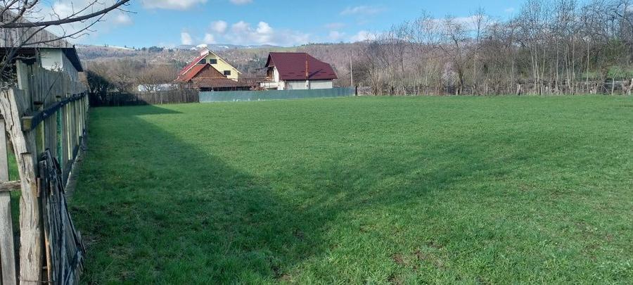 Teren de vanzare - 6