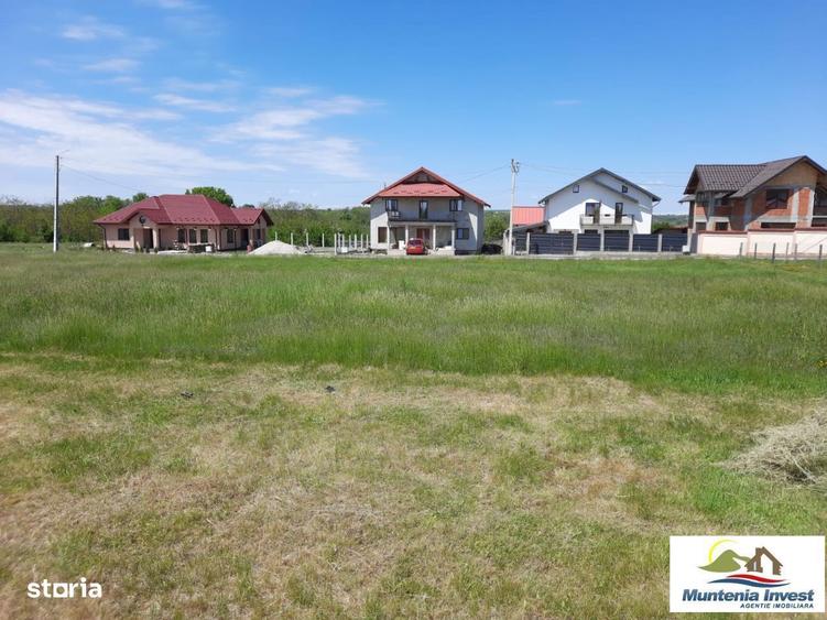 Teren 850 mp,Albota(Morlovani) - 5