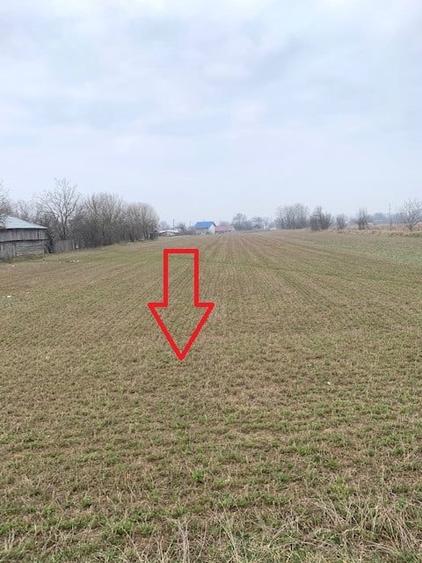 Teren de vanzare 7.123 mp intravilan, Buhusi - 11