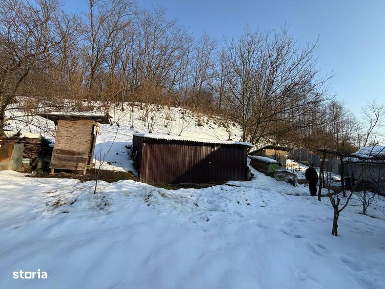 Vand Casa in Tarnava strada principala - 9