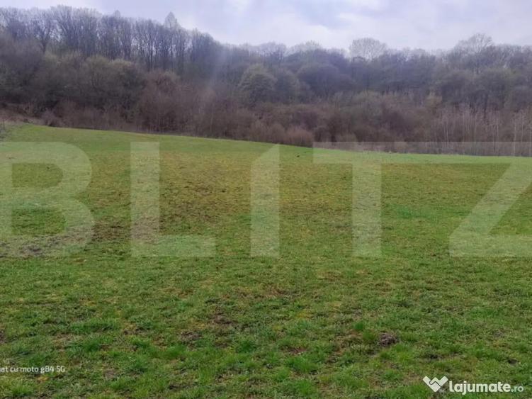Teren superb 2.500 mp in Nicula lini?te, natura ?i p - 5