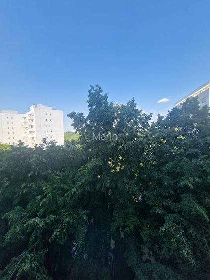 Baba Novac, Parc Ior, Mall Park Lake