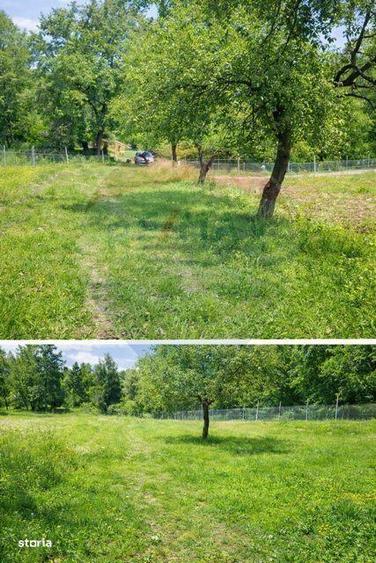 Casa traditionala+teren 9.035mp in Breb,Maramures - 5