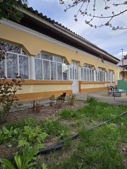 Vand casa cu teren in comuna Baneasa judetul Giurgiu - 1