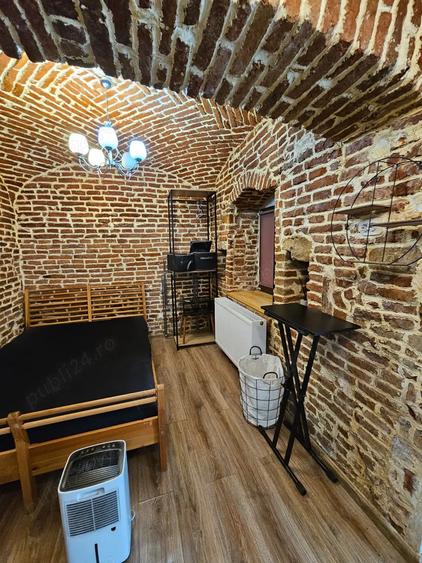 Vanzare studio, Platinia USAMV 5 minute de Centru - 9