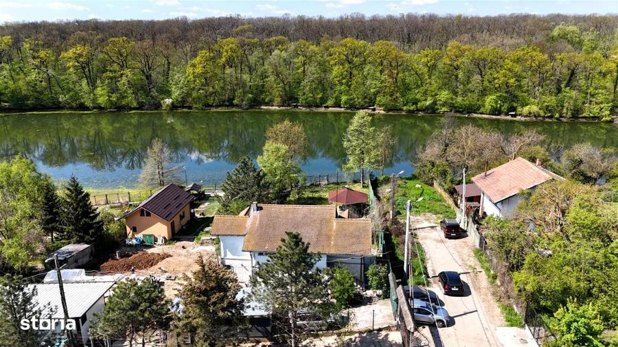 Vila pe lac cu vedere la padure - Pasarea - Branesti - 8