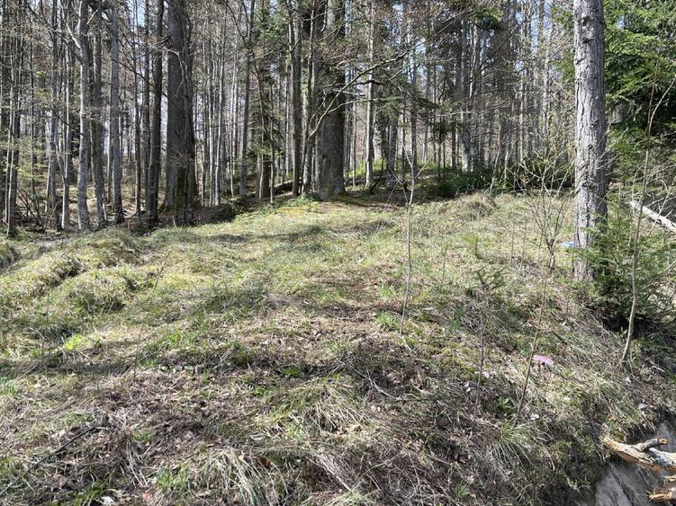 Teren deosebit de vânzare în Sinaia – cartier exclusivist Furnica. - 1