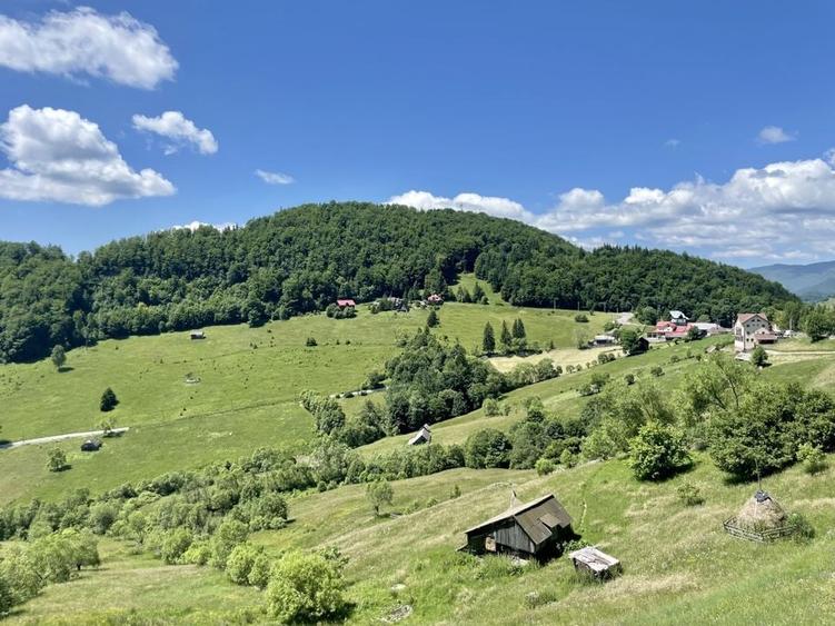 Teren cu vedere panoramica de vanzare | Podu Dambovitei, Comuna Dambovicioara - 5