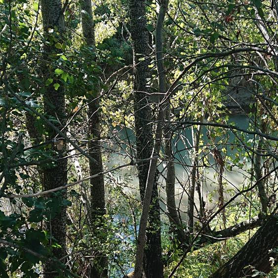 Teren vanzare Ciolpani / Luparie 10.000 PROMOTIE DE SARBATORI - 2