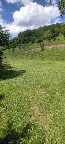 Teren 2700mp in Poiana Galdei - 1