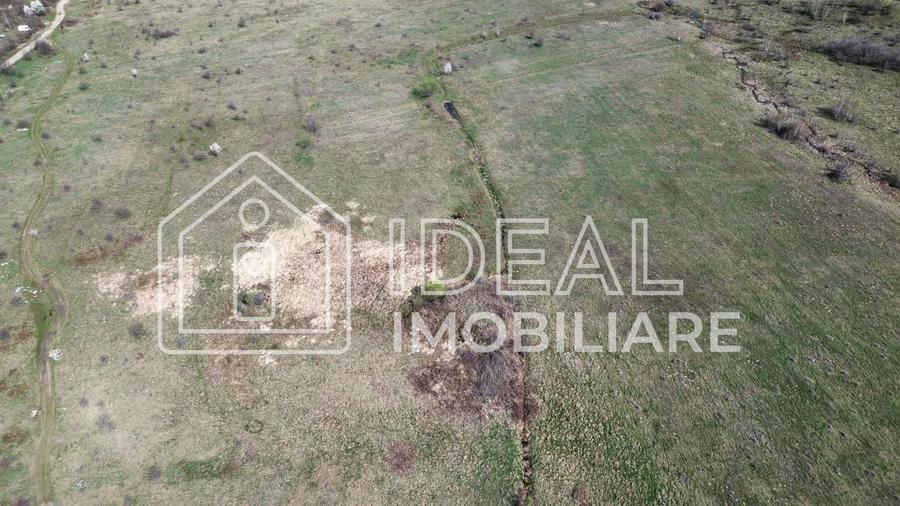 Teren 25.500 mp Valea Avrigului - 4