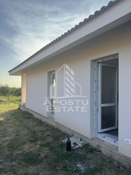 Casa individuala in Petrovaselo - 9