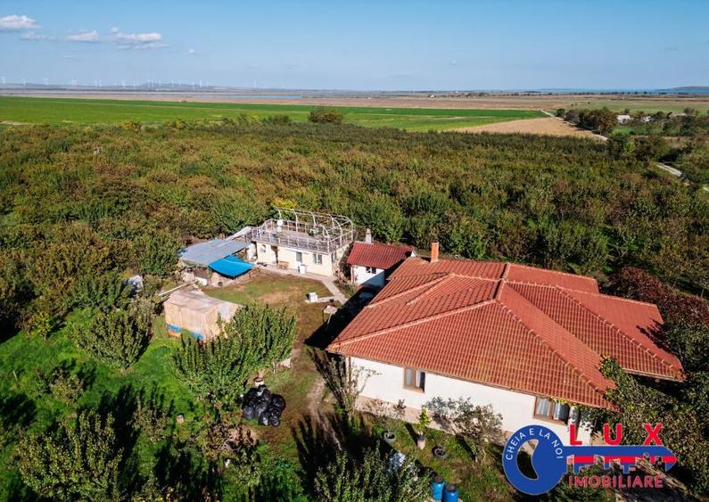 ID 7785 LIVADA SABANGIA DE VANZARE - 20