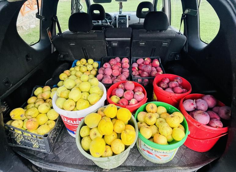 Cabana Pre? negociabil! Blaj, Alba - 4