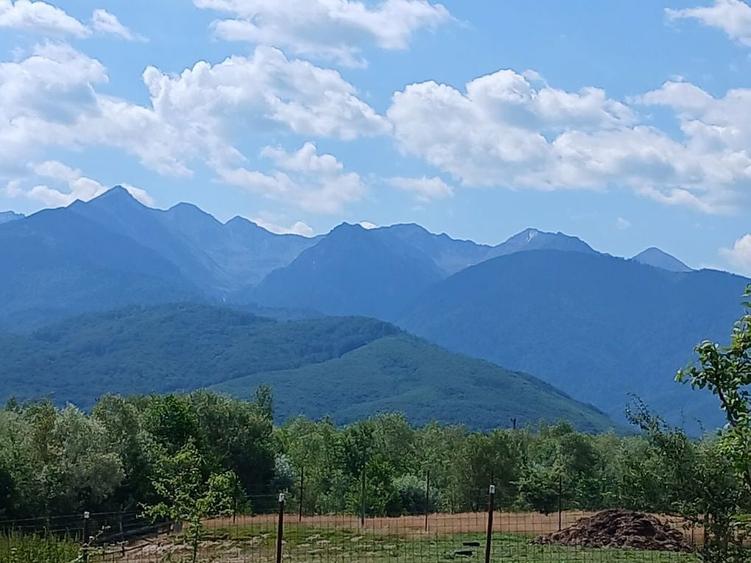 Teren de vanzare in zona Transfagarasan - 5