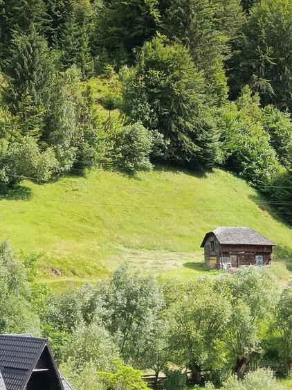 Teren intravilan - 2