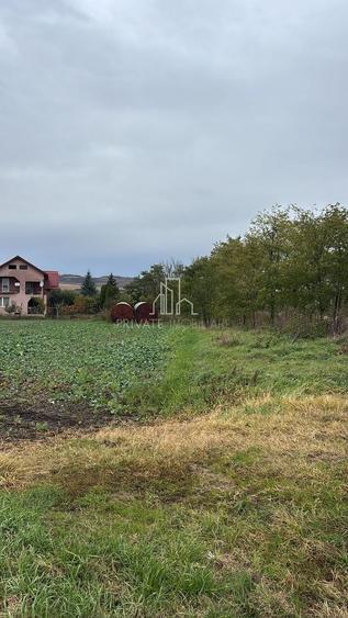 Teren 10 000 Mp Deschidere E60, Zona Aeroport/Autostrada, Ungheni - 6