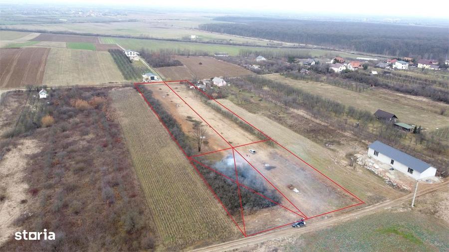 Teren cu utilitati si proiect casa Viile Satu Mare - 3