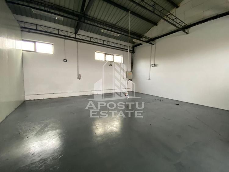 Hala de inchiriat Timisoara - Dambovita, depozitare, service auto - 1