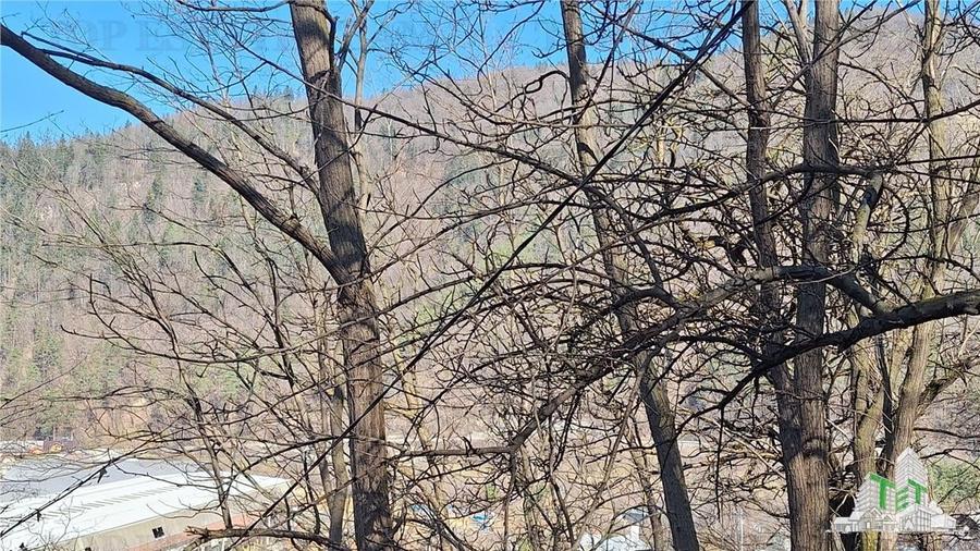 Teren Unic în Tarcau - Oportunitate pentru afacere cu potential turistic! - 1