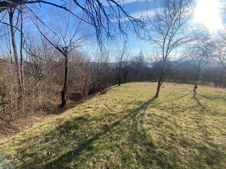 Teren de vanzare 1.622 mp Cornu de sus - 1