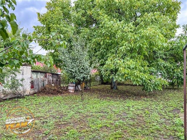FILM&3D! Casa ospitaliera,curte si gradina asortata,arie linistita,Simeria,Sfant - 19