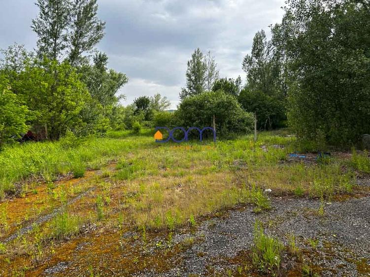 Teren industrial sau comercial 3000 mp Zagujeni - 4