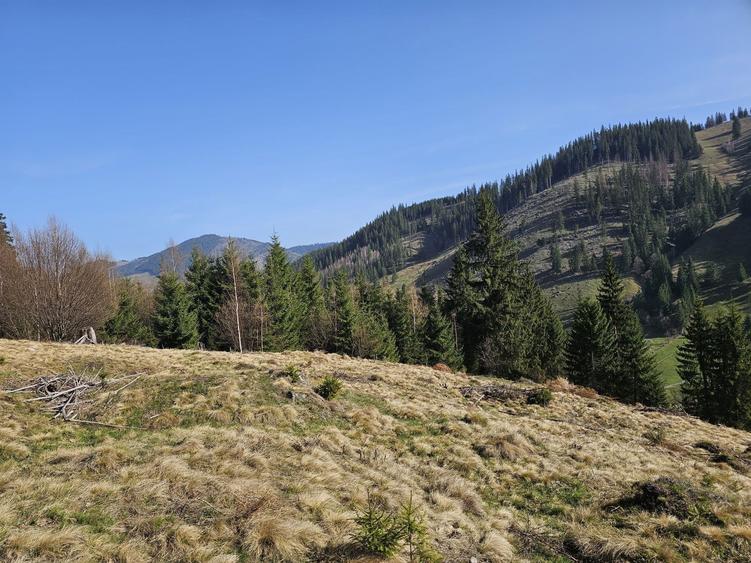 Teren de vanzare partial intravilan in Bucovina Pojorata Transrarau - 6