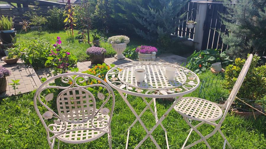 Casa deosebita de vanzare - 6