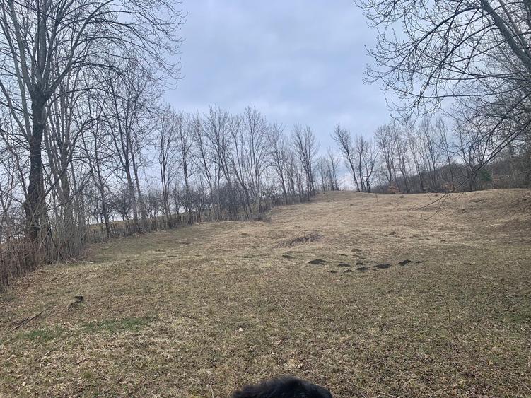 Teren intravilan  - 4