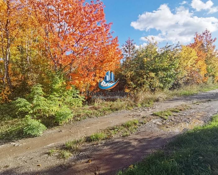 Teren 900 mp Strada Ciocarliei CIRITEI, Piatra Neamt - 1