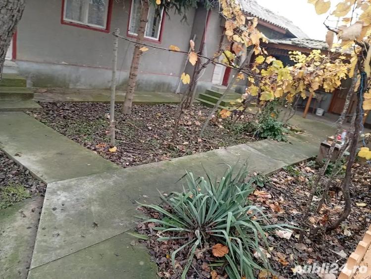 Casa batraneasca Ceamurila de jos - 3