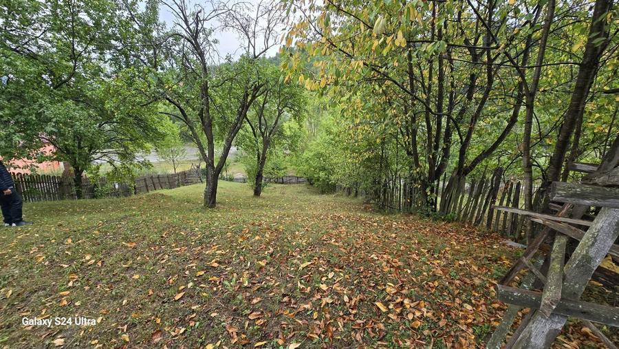 Teren Valea Doftane Prahova1481mp! - 1