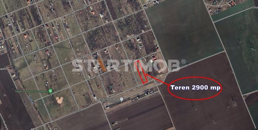 Teren intravilan Livada Sanpetru - 8