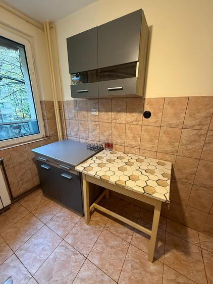 Apartament 2 camere decomandat cu centrala termica proprie Colentina-Sectia 7 - 13