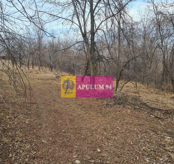 Teren intravilan de vanzare in Cornu de Jos - 7