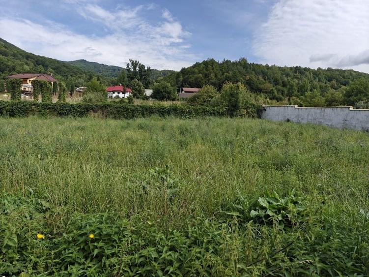 De vanzare teren cu casa in Slanic Moldova - 5
