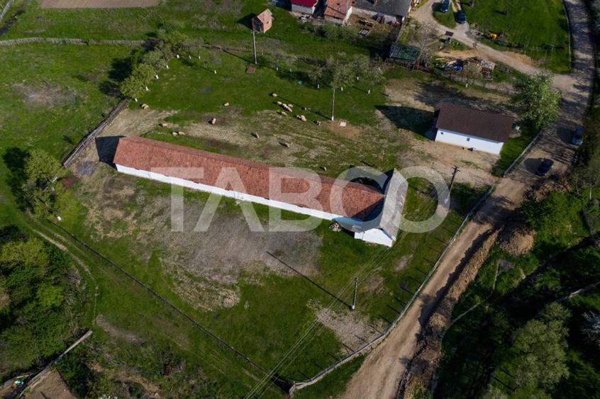 Microferma cu locuinta de vanzare in Pianu de sus - 14