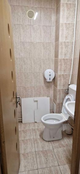 Dau in chirie spatiu 106mp , Brancusi - 5