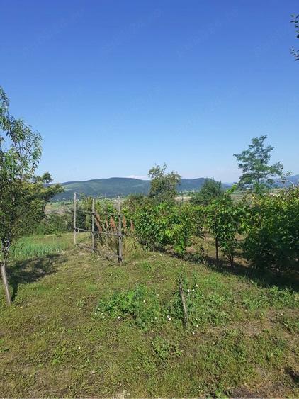 Casă cu Teren 950 Mp în Valea Nucului