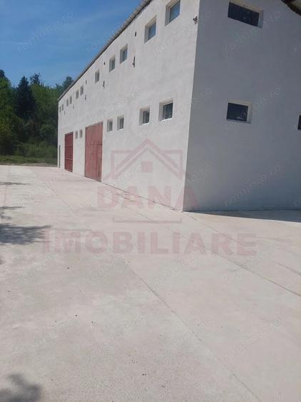 HALA DE VANZARE SAU INCHIRIERE, IN LOC.. BAU?AR, JUD. CARA?-SEVERIN - 10